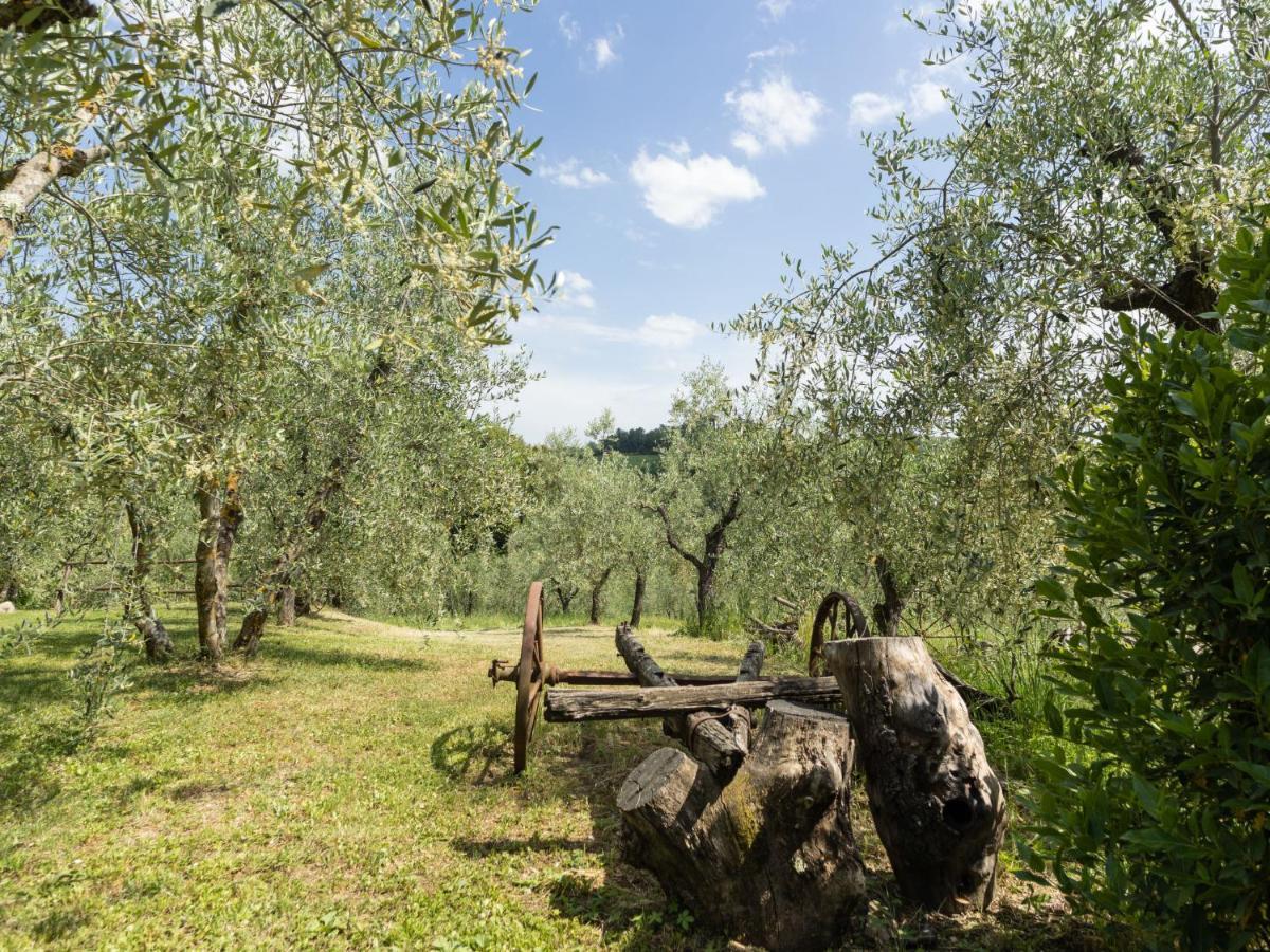 Apartment Ciliegio By Interhome Monsanto Bagian luar foto